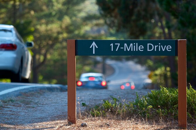 17-Mile Drive Self-Guided Audio Tour from Monterey & Carmel - Bird Rock, Seal Rock, and coastal wildlife
