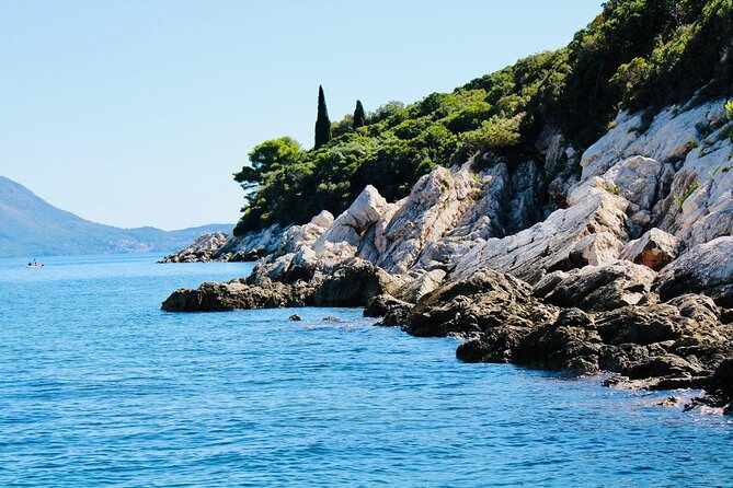 50-minute Panoramic Cruise of Dubrovnik with English Audio Guide - What the English audio guide adds