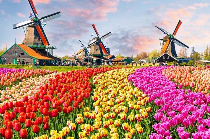 Amsterdam Self-Guided Audio Tour - Dam Square, the Royal Palace, and Amsterdam’s wartime memory