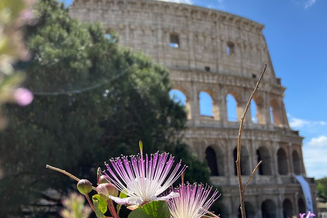 Ancient Rome: Colosseum + Digital Booklet and Audioguide - Who will enjoy this Ancient Rome experience?