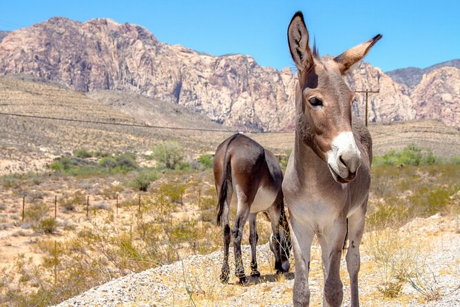 Audio Driving Tour: Grand Canyon West, Hoover Dam Red Rock Canyon - Boulder City, built for the dam