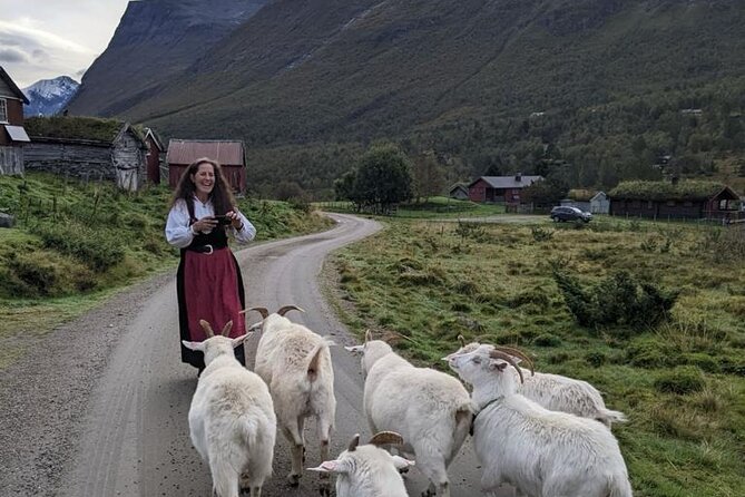 Audio-Guide Bus Tour at Scenic Routes of Åndalsnes to Trollstigen - Timing, weather, and practical preparation