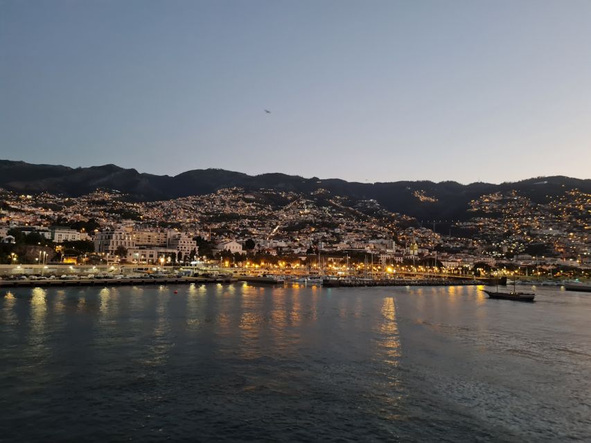 Audio Guide Citywalk Funchal for Cruise Guests - Historic squares and the final stop at Santa Catarina Park