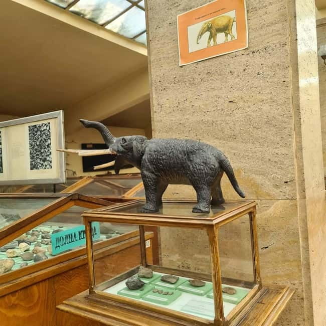 Audio Guide for Museum Paleontology and Historical Geology - Key points to know before you go