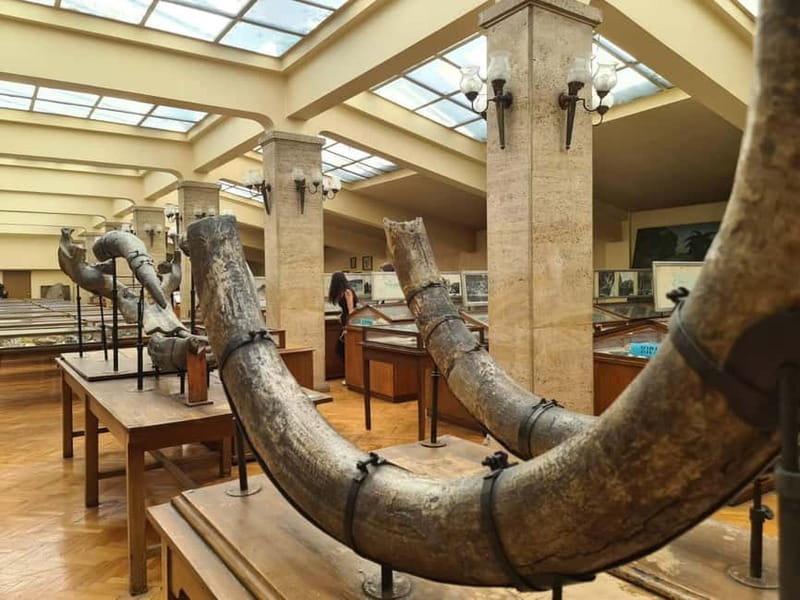 Audio Guide for Museum Paleontology and Historical Geology - Finding the museum inside Sofia University
