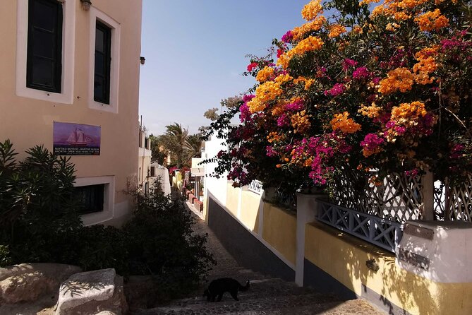 Authentic Santorini: A Self-Guided Audio Tour of Oia - What you get for $7.99