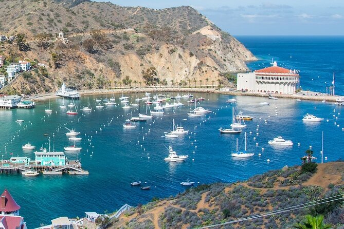 Avalon City: A Self-Guided Audio Tour - Why the $5.24 price is good value
