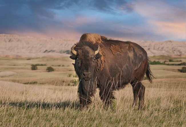Badlands National Park Self-Guided Driving Audio Tour - Key points to know before you go