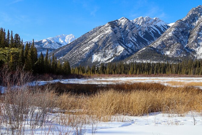 Banff Cave & Hot Springs Audio Walking Tour (Not a Ticket) - Price, timing, and what you receive for $9.99