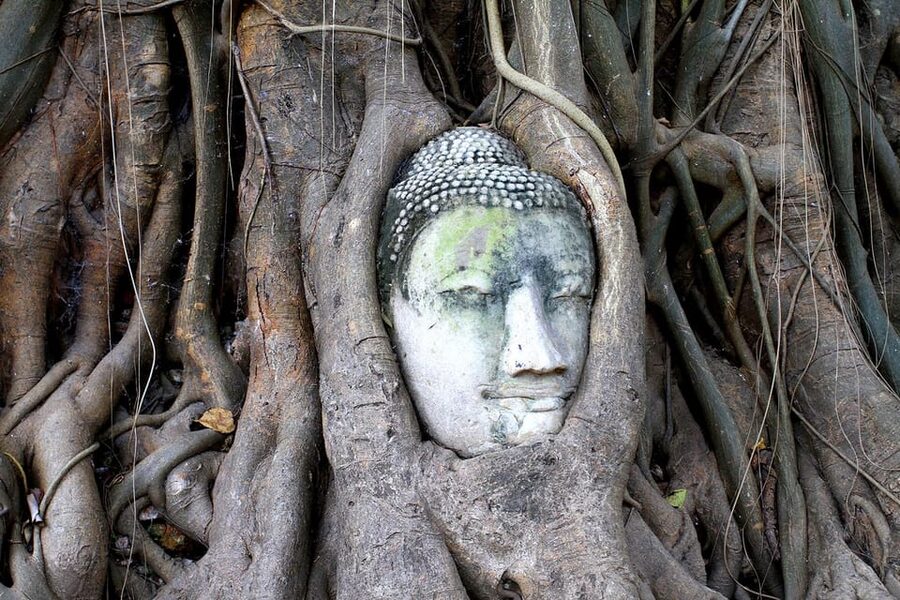 Bangkok: Audio guides for Bangkok, Ayutthaya & Chiang Mai - Using the guides without losing the moment