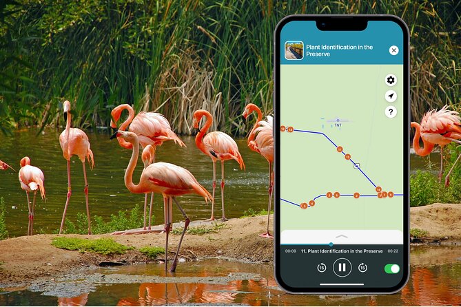 Big Cypress National Preserve Audio Tour Guide - Shark Valley and the Miccosukee Indian Village