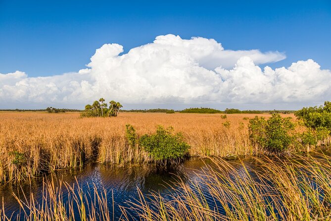 Big Cypress National Preserve Audio Tour Guide - The Nature Trail Tree Snail and Clyde Butcher’s gallery