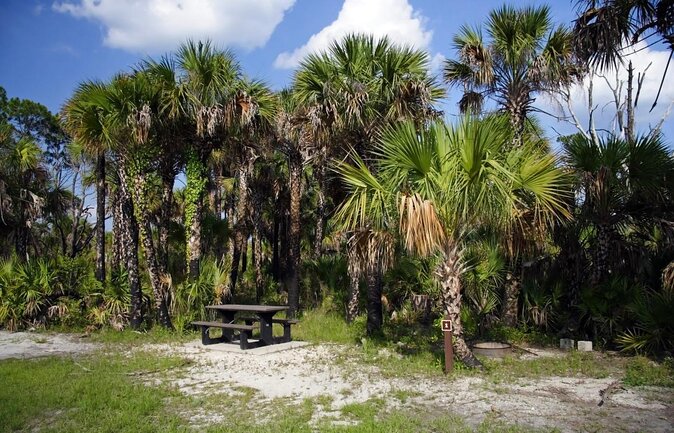 Big Cypress National Preserve Self Guided Driving Audio Tour - Key points before you set out
