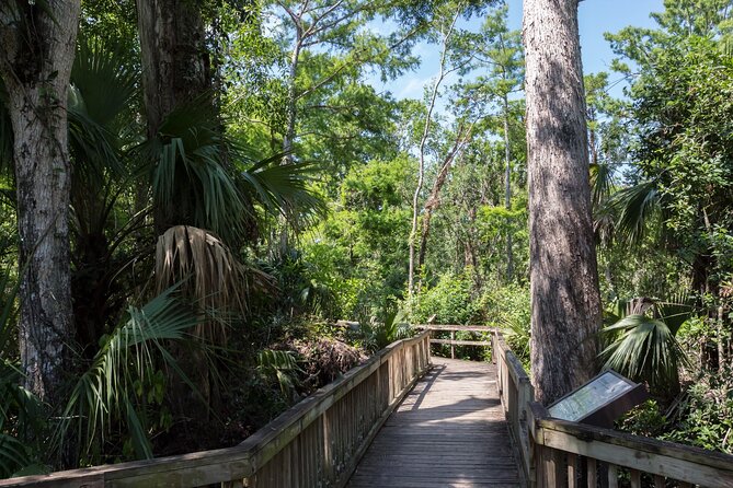 Big Cypress National Preserve Self Guided Driving Audio Tour - Why Big Cypress works well as a self-guided drive