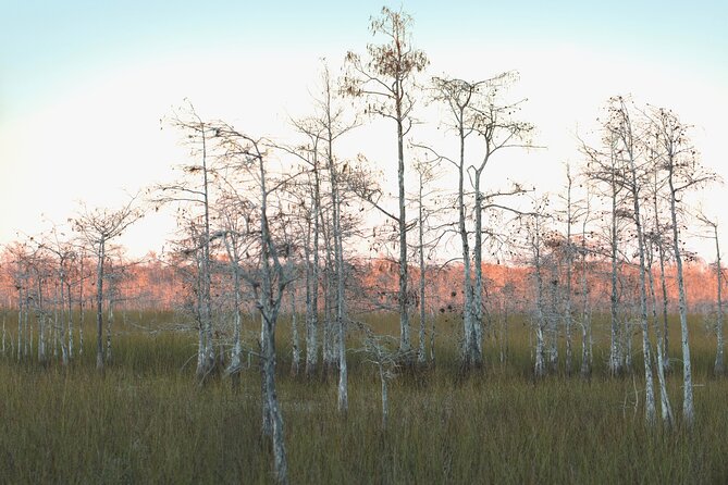 Big Cypress National Preserve Self Guided Driving Audio Tour - Gator Hook Trail is a serious wet-weather choice