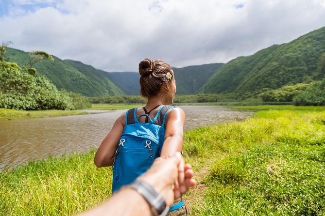 Big Island Kohala Coast Self-Guided Audio Tour - Waimea Town Market, food and local produce