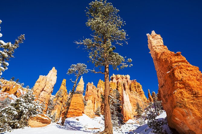 Bryce Canyon National Park Self-Guided Driving Audio Tour - Sunrise Point and the Bryce Amphitheater