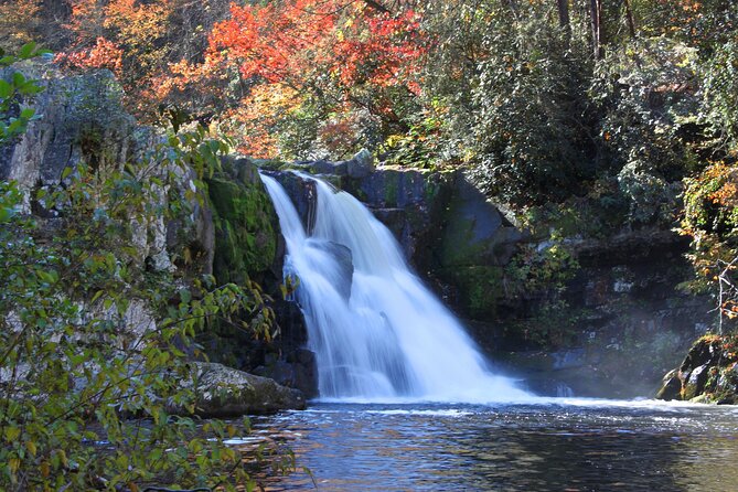 Cades Cove Sightseeing Self-Guided Driving Audio Tour - The route from Sugarlands to the Cades Cove loop