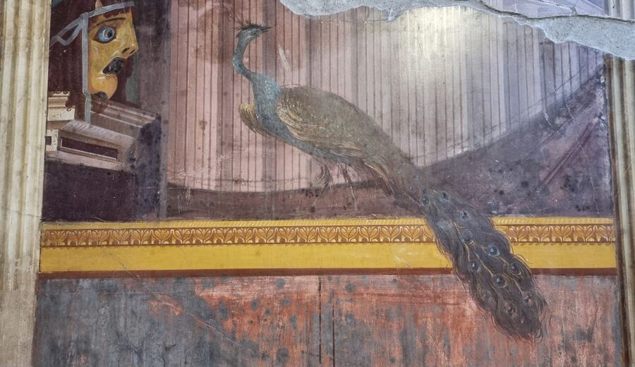 Campania: Pompei+Herculaneum+Vesuvius audio guide - The ITGUIDES App: Helpful Design, Some Technical Friction