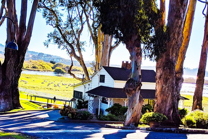 Carmel by the Sea: A Self-Guided Driving Audio Tour - What the VoiceMap app adds