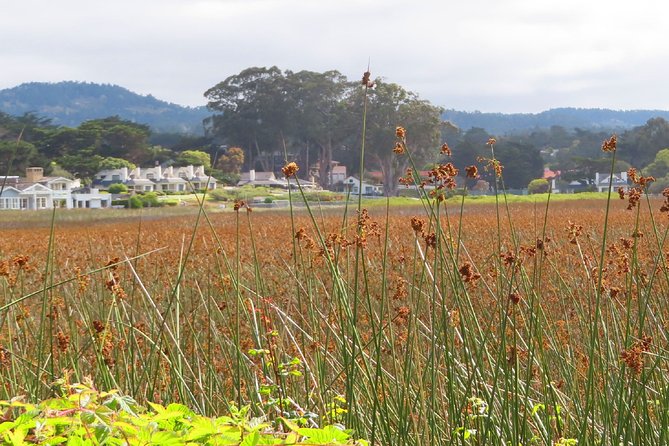 Carmel Point: A Self-Guided Audio Tour - Sandpiper Inn Completes the Architectural Lineup
