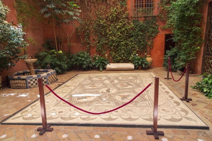 Casa de Salinas Entry Ticket with Audio Guide - The Roman mosaic with a touch of mischief
