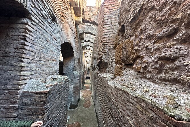 Colosseum Arena Digital audio Guided tour & Forum palatine entry - What the SUPER sites and exhibitions add