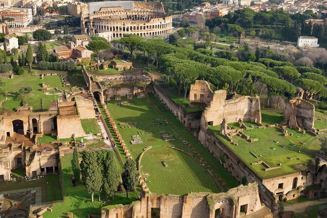 Colosseum,Arena,Palatine Hill & Roman Forum with Audio Guide App - Meeting at the Arch of Constantine
