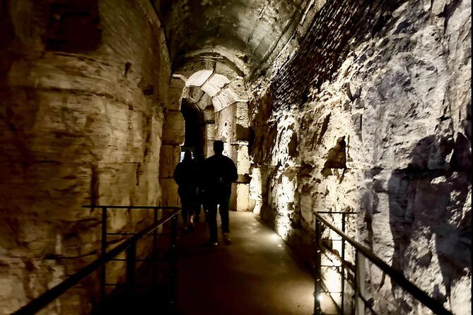 Colosseum Entry with Digital Audio Guide & Roman Forum, Palatine - Audio app versus a live guide
