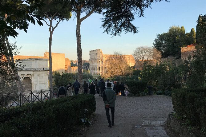 Colosseum, Forum, Palatine Hill with audio guide and Arena or Bus option - Palatine Hill and the views over ancient Rome
