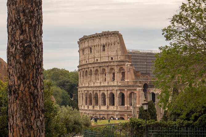 Colosseum Roman Forum and Palatine Hill Audio Guided Tour - Timing, Meeting Point, and Planning Advice