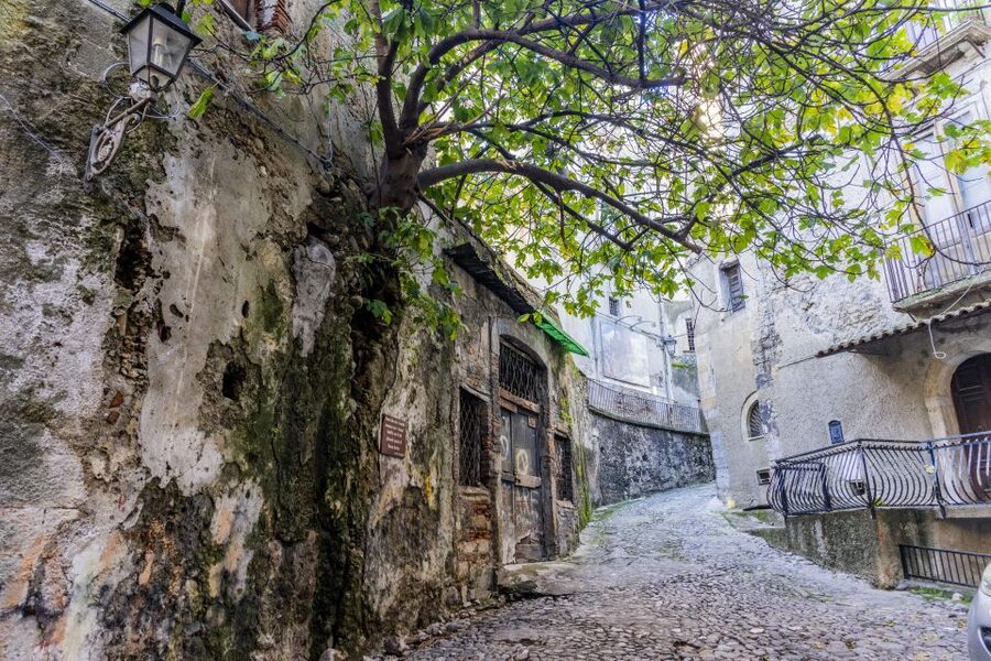 Cosenza: Audio Guide of the Historic Center - Who should book this Cosenza walk