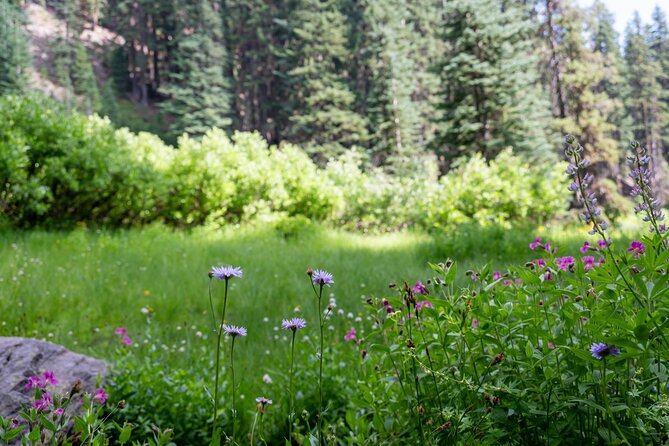 Crater Lake National Park Self-Guided Audio Tour - Plaikni Falls and Pinnacles Overlook