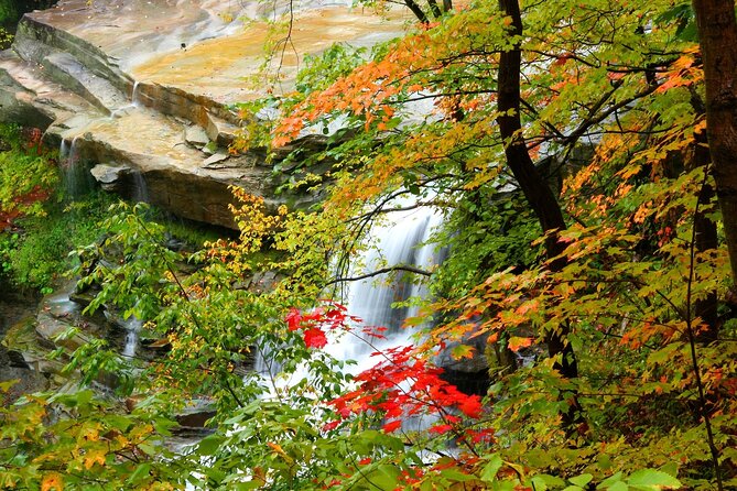 Cuyahoga Valley National Park Self-Guided Audio Tour - A full day among canals, cliffs, and waterfalls