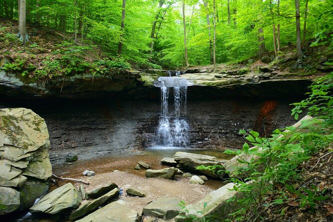 Cuyahoga Valley National Park Self-Guided Driving Audio Tour - Quarry remains and the state tree