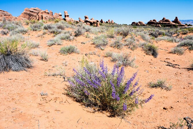 Delicate Arch Trail Self-Guided Audio Walking Tour - Reaching Delicate Arch requires honest preparation