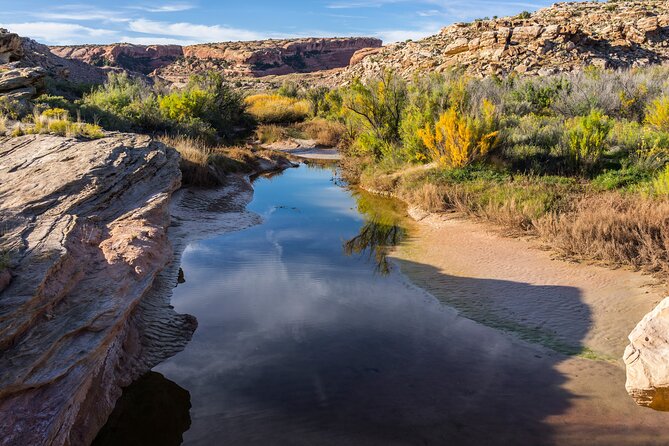 Delicate Arch Trail Self-Guided Audio Walking Tour - The freedom is useful, but it can also make the tour easy to ignore