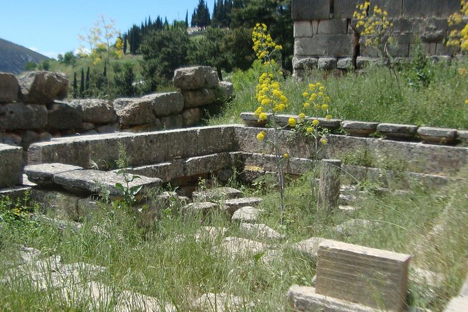 Delphi Self-guided Audio Tour on Your Phone (no ticket) - Access, walking, and practical limits