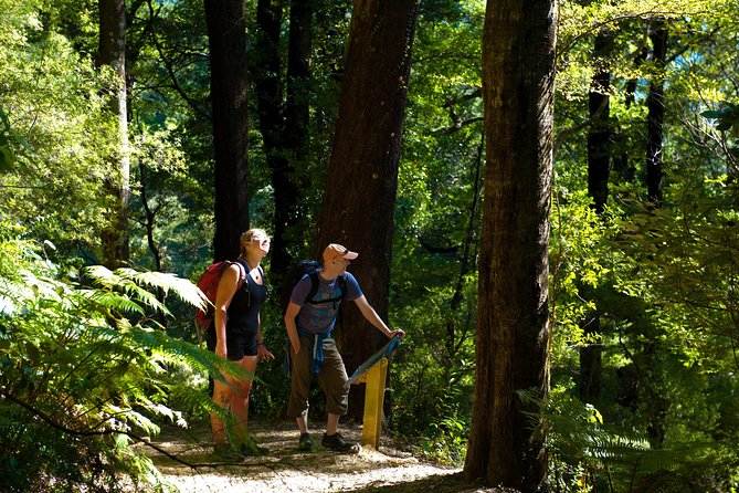 Discover Picton: Self-Guided Audio Tour - The whaling harpoon and Picton’s harder history