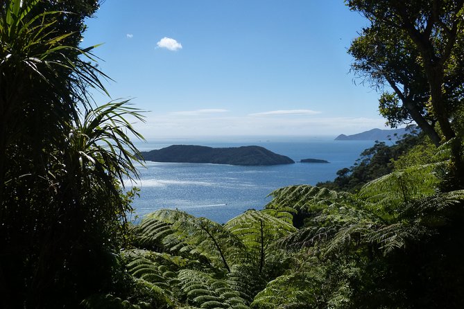 Discover Picton: Self-Guided Audio Tour - The War Memorial and the town’s public memory