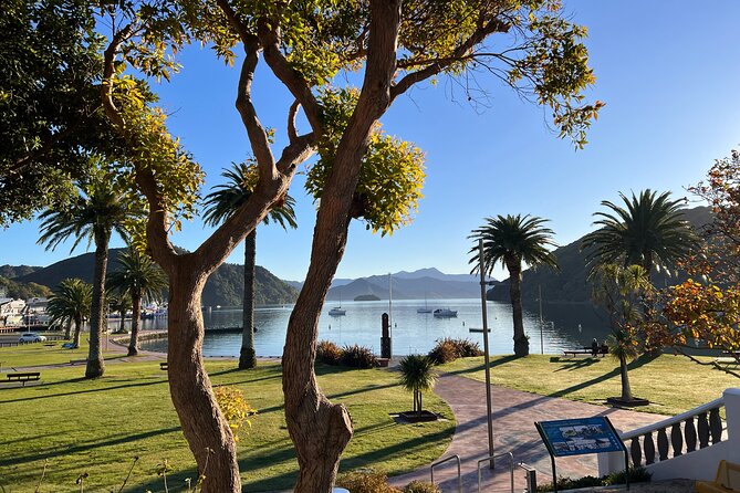 Discover Picton: Self-Guided Audio Tour - What $15.29 really buys you