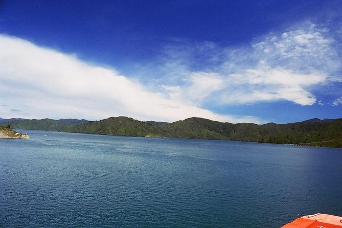 Discover Picton: Self-Guided Audio Tour - Starting at the foreshore and i-SITE