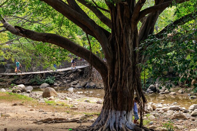 Discover Puerto Vallarta: Audio Walking Self-Guided Tour - Casa Kimberly and the Elizabeth Taylor connection