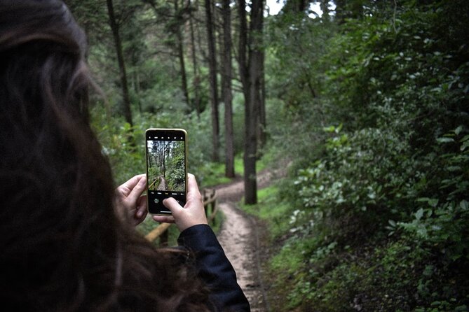 Discover the Lake Agnes Tea House Trail with an Audio Nature Tour - The return walk and changing views