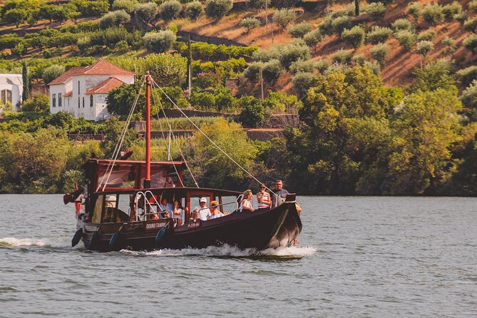 Douro Valley: Rabelo Boat Tour with Audio Guide - What the one-hour route shows you