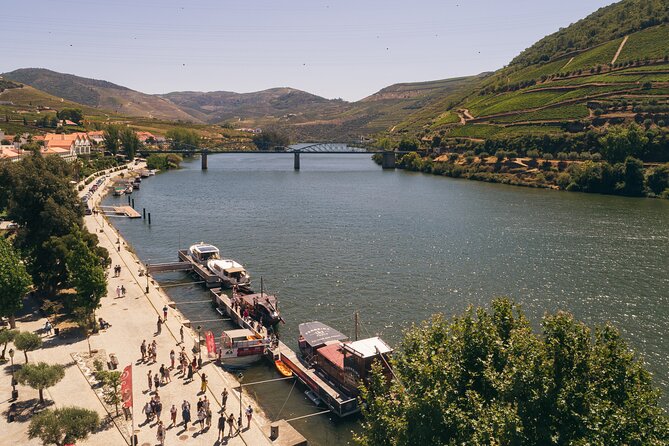 Douro Valley: Rabelo Boat Tour with Port Wine & Audio Guide - The Port tasting and onboard comfort