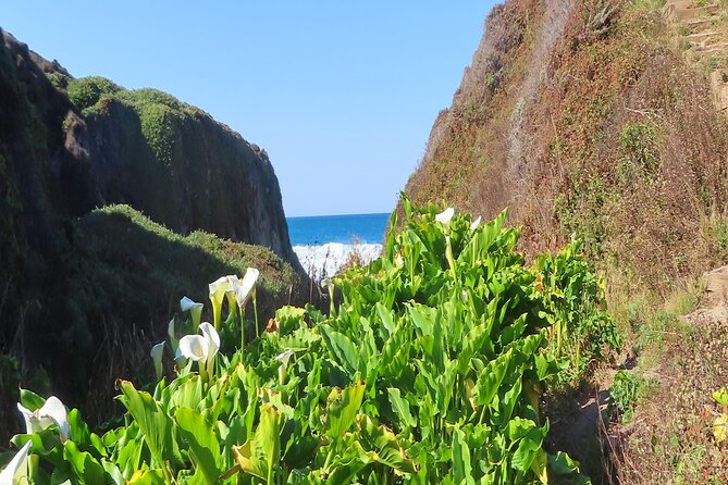 Driving the California Coast: A Self-Guided Audio Tour - Bixby Creek Bridge and Hurricane Point