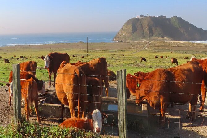 Driving the California Coast: A Self-Guided Audio Tour - Nepenthe, Henry Miller, and the quieter roadside names