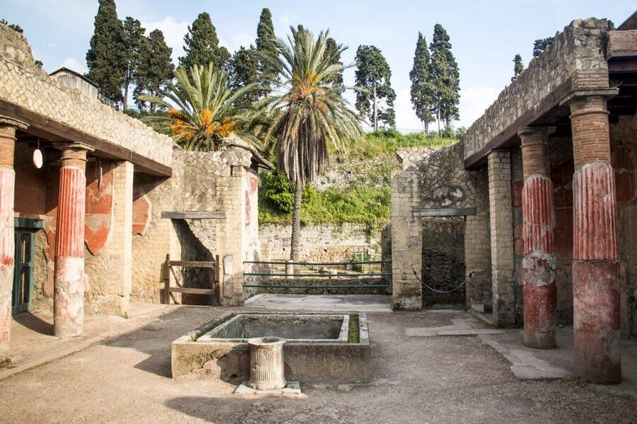 Ercolano: Herculaneum Entry Ticket with Optional Audio Guide - How the $21 price compares with the experience