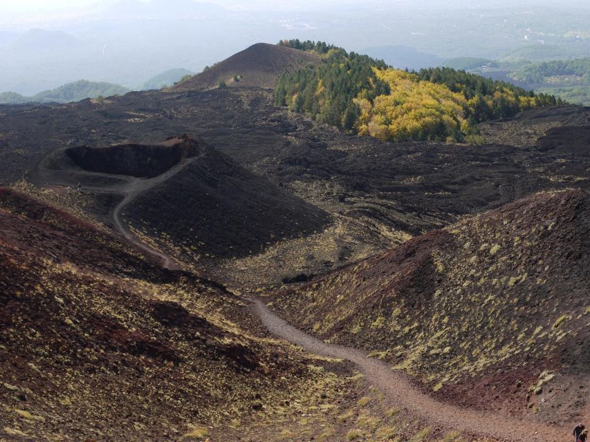 Etna by Panoramic Bus, Audioguide 9 languages, from Catania - Who will enjoy this Etna outing?